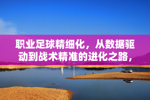 职业足球精细化，从数据驱动到战术精准的进化之路，职业足球精细化，从数据驱动到战术精准的进化之路