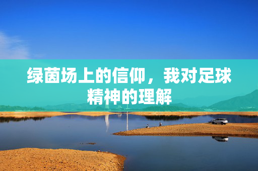 绿茵场上的信仰，我对足球精神的理解