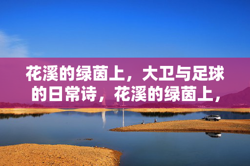 花溪的绿茵上，大卫与足球的日常诗，花溪的绿茵上，大卫与足球的日常诗