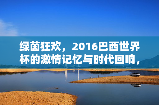 绿茵狂欢，2016巴西世界杯的激情记忆与时代回响，绿茵狂欢，2016巴西世界杯的激情记忆与时代回响