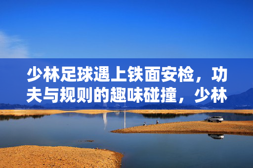 少林足球遇上铁面安检，功夫与规则的趣味碰撞，少林足球遇上铁面安检，功夫与规则的趣味碰撞