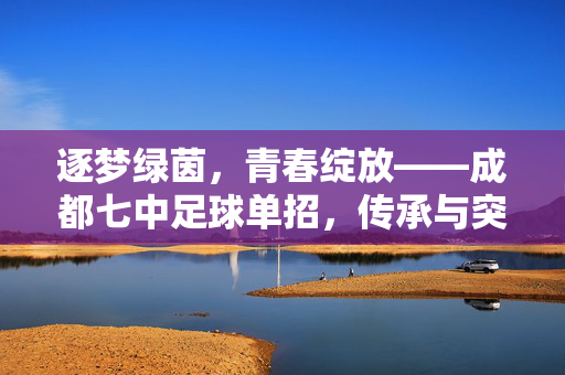 逐梦绿茵，青春绽放——成都七中足球单招，传承与突破的青春答卷，逐梦绿茵，青春绽放——成都七中足球单招，传承与突破的青春答卷