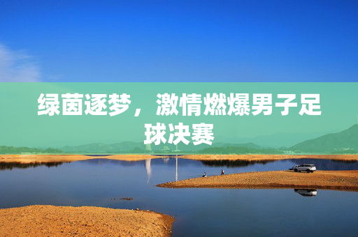 绿茵逐梦，激情燃爆男子足球决赛