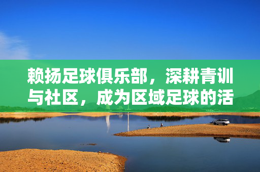 赖扬足球俱乐部，深耕青训与社区，成为区域足球的活力引擎，赖扬足球俱乐部，深耕青训与社区，成为区域足球的活力引擎