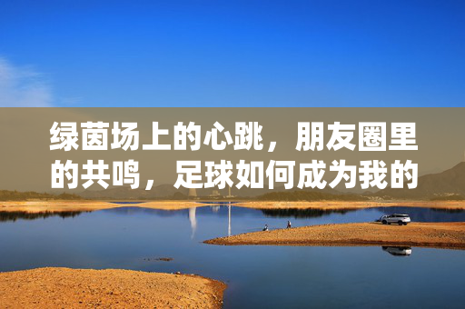 绿茵场上的心跳，朋友圈里的共鸣，足球如何成为我的日常伙伴，绿茵场心跳，朋友圈共鸣，足球如何成为我的日常伙伴