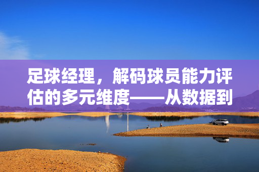 足球经理,解码球员能力评估的多元维度——从数据到实战的洞察,足球经理,解码球员能力评估的多元维度——从数据到实战的洞察