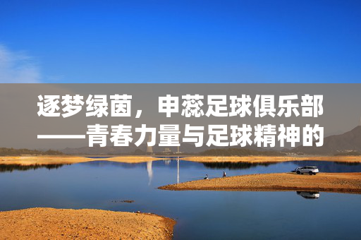 逐梦绿茵，申蕊足球俱乐部——青春力量与足球精神的传承，逐梦绿茵，申蕊足球俱乐部——青春力量与足球精神的传承