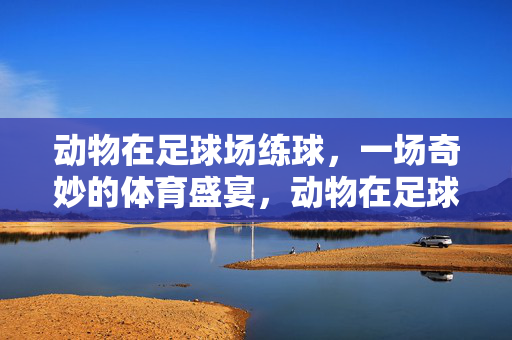 动物在足球场练球，一场奇妙的体育盛宴，动物在足球场练球，一场奇妙的体育盛宴
