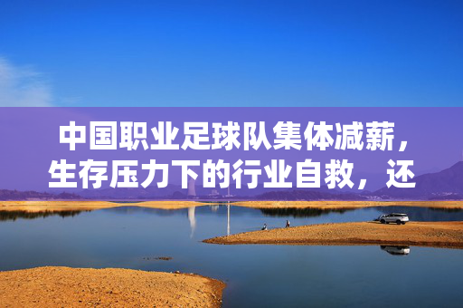 中国职业足球队集体减薪，生存压力下的行业自救，还是危机深化的信号？中国职业足球队集体减薪，生存压力下的行业自救，还是危机深化的信号？