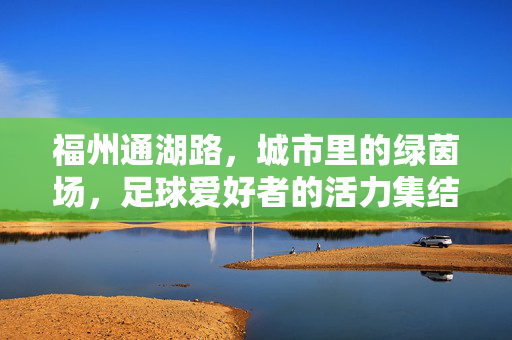 福州通湖路，城市里的绿茵场，足球爱好者的活力集结地，福州通湖路，城市里的绿茵场，足球爱好者的活力集结地