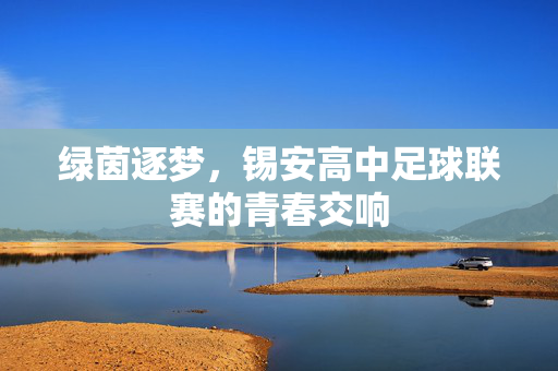绿茵逐梦，锡安高中足球联赛的青春交响