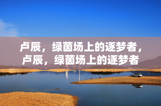卢辰，绿茵场上的逐梦者，卢辰，绿茵场上的逐梦者