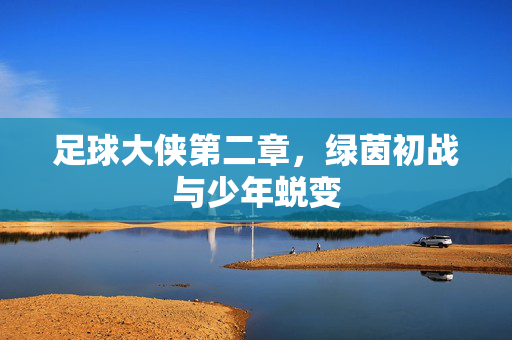 足球大侠第二章，绿茵初战与少年蜕变