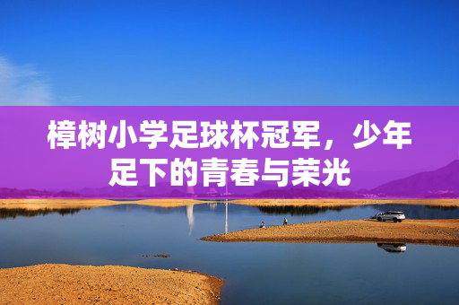 樟树小学足球杯冠军，少年足下的青春与荣光