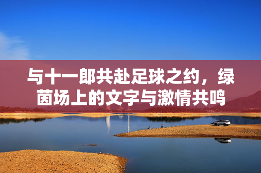 与十一郎共赴足球之约，绿茵场上的文字与激情共鸣