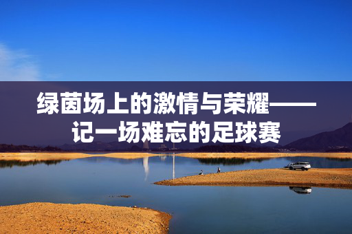 绿茵场上的激情与荣耀——记一场难忘的足球赛
