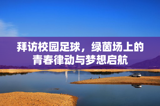 拜访校园足球，绿茵场上的青春律动与梦想启航
