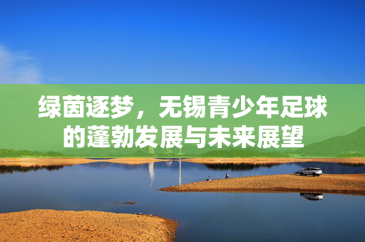 绿茵逐梦，无锡青少年足球的蓬勃发展与未来展望