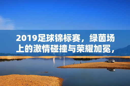 2019足球锦标赛，绿茵场上的激情碰撞与荣耀加冕，2019足球锦标赛，绿茵场上的激情碰撞与荣耀加冕