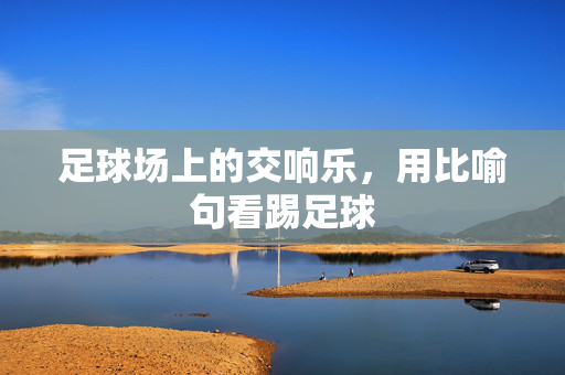 足球场上的交响乐，用比喻句看踢足球