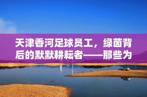 天津香河足球员工，绿茵背后的默默耕耘者——那些为梦想挥洒汗水的平凡英雄