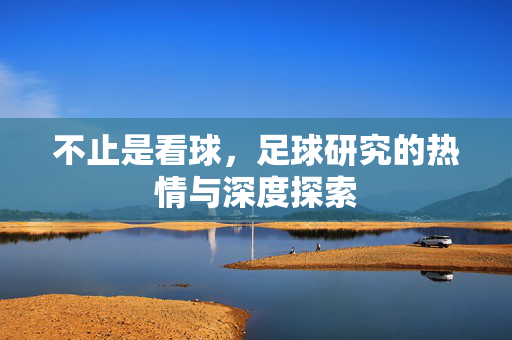 不止是看球，足球研究的热情与深度探索