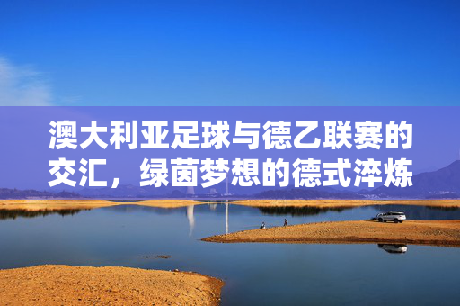 澳大利亚足球与德乙联赛的交汇，绿茵梦想的德式淬炼