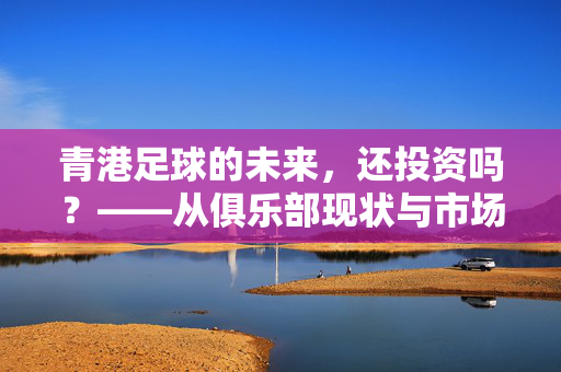 青港足球的未来，还投资吗？——从俱乐部现状与市场趋势看青港的抉择