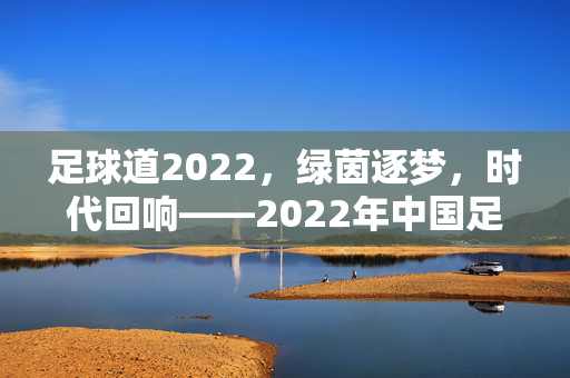 足球道2022，绿茵逐梦，时代回响——2022年中国足球发展的青春足迹