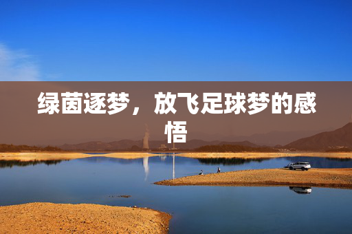 绿茵逐梦，放飞足球梦的感悟