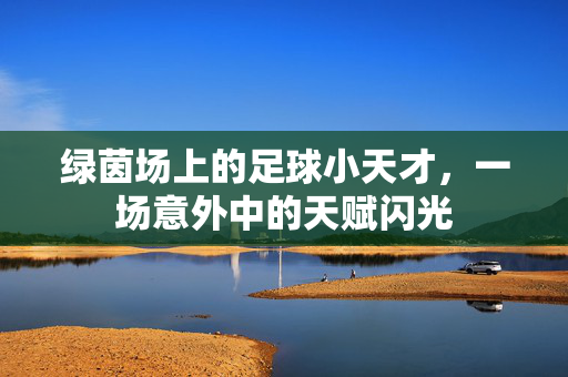绿茵场上的足球小天才，一场意外中的天赋闪光