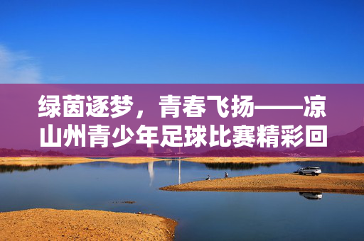 绿茵逐梦，青春飞扬——凉山州青少年足球比赛精彩回顾