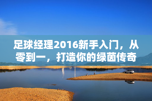 足球经理2016新手入门，从零到一，打造你的绿茵传奇，足球经理2016新手入门，从零到一，打造你的绿茵传奇