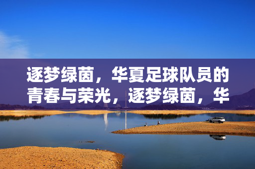 逐梦绿茵，华夏足球队员的青春与荣光，逐梦绿茵，华夏足球队员的青春与荣光