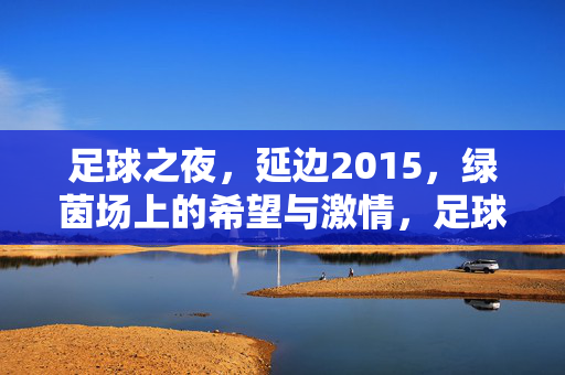足球之夜，延边2015，绿茵场上的希望与激情，足球之夜，延边2015，绿茵场上的希望与激情