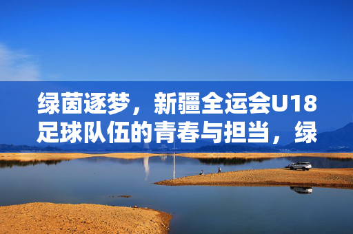 绿茵逐梦，新疆全运会U18足球队伍的青春与担当，绿茵逐梦，新疆全运会U18足球队伍的青春与担当