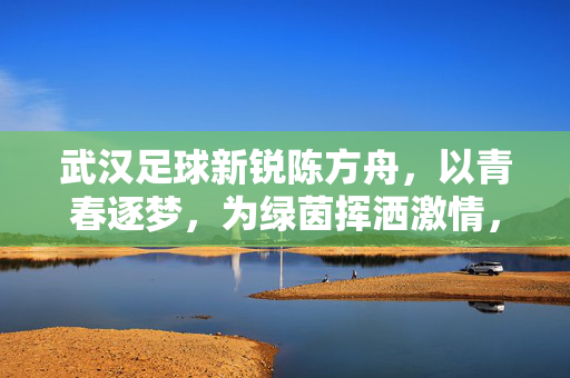 武汉足球新锐陈方舟，以青春逐梦，为绿茵挥洒激情，武汉足球新锐陈方舟，以青春逐梦，为绿茵挥洒激情