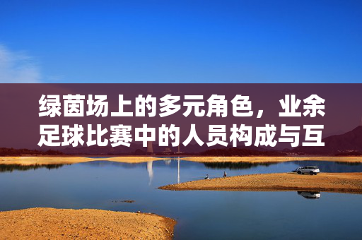绿茵场上的多元角色，业余足球比赛中的人员构成与互动，绿茵场上的多元角色，业余足球比赛中的人员构成与互动