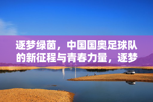 逐梦绿茵，中国国奥足球队的新征程与青春力量，逐梦绿茵，中国国奥足球队的新征程与青春力量