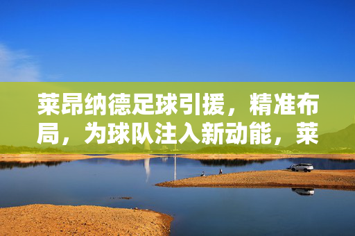 莱昂纳德足球引援，精准布局，为球队注入新动能，莱昂纳德足球引援，精准布局，为球队注入新动能