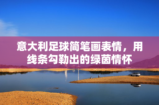 意大利足球简笔画表情,用线条勾勒出的绿茵情怀