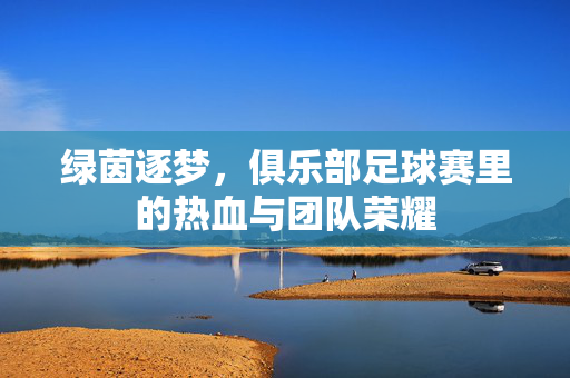 绿茵逐梦，俱乐部足球赛里的热血与团队荣耀