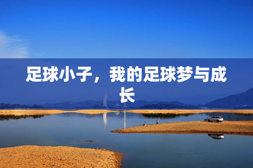 足球小子，我的足球梦与成长