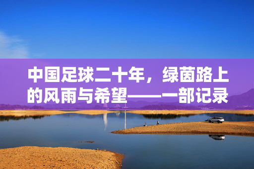 中国足球二十年，绿茵路上的风雨与希望——一部记录梦想与现实的纪录片