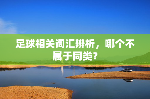 足球相关词汇辨析，哪个不属于同类？