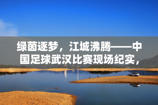 绿茵逐梦，江城沸腾——中国足球武汉比赛现场纪实，绿茵逐梦，江城沸腾——中国足球武汉比赛现场纪实
