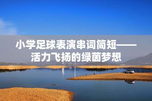 小学足球表演串词简短——活力飞扬的绿茵梦想