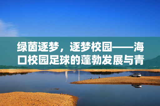绿茵逐梦,逐梦校园——海口校园足球的蓬勃发展与青春活力