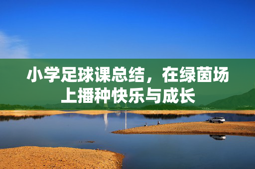 小学足球课总结，在绿茵场上播种快乐与成长