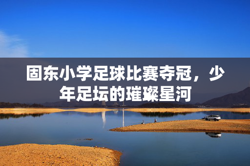 固东小学足球比赛夺冠，少年足坛的璀璨星河